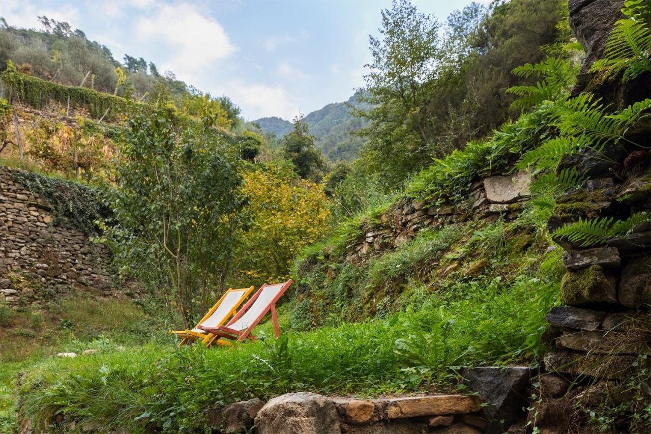 Agriturismo L'Adagio Badalucco Bagian luar foto