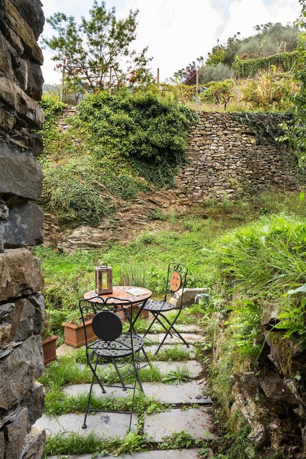 Agriturismo L'Adagio Badalucco Bagian luar foto